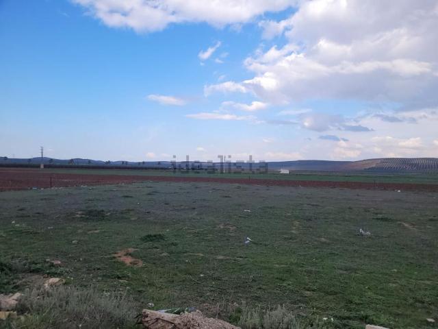 Terreno, Mollina