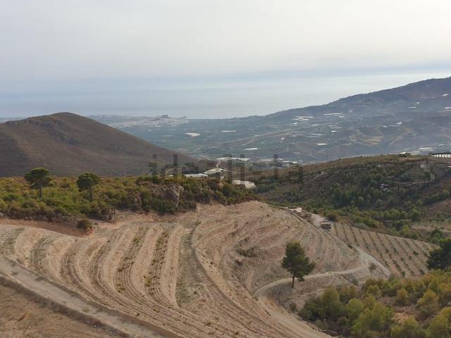 Terreno, Molvizar