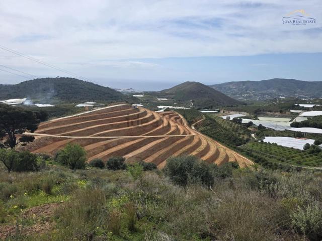 Terreno, Molvizar