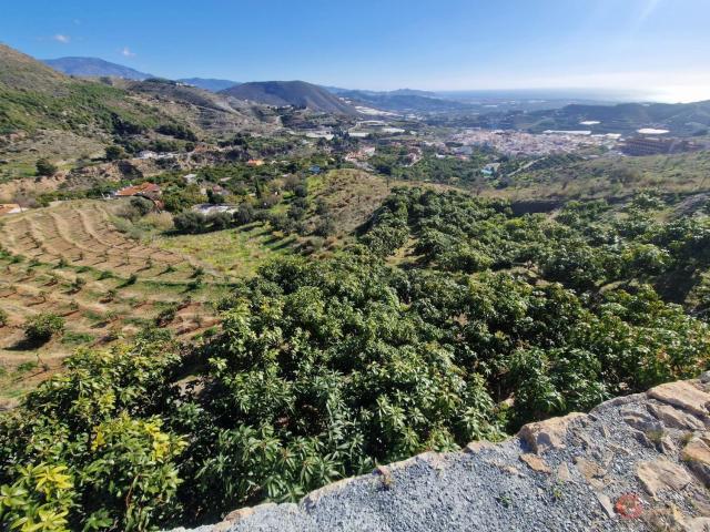 Terreno, Molvizar