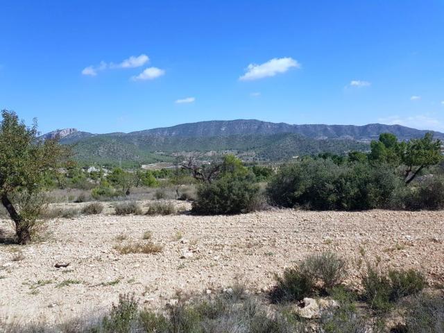 Terreno, Monovar