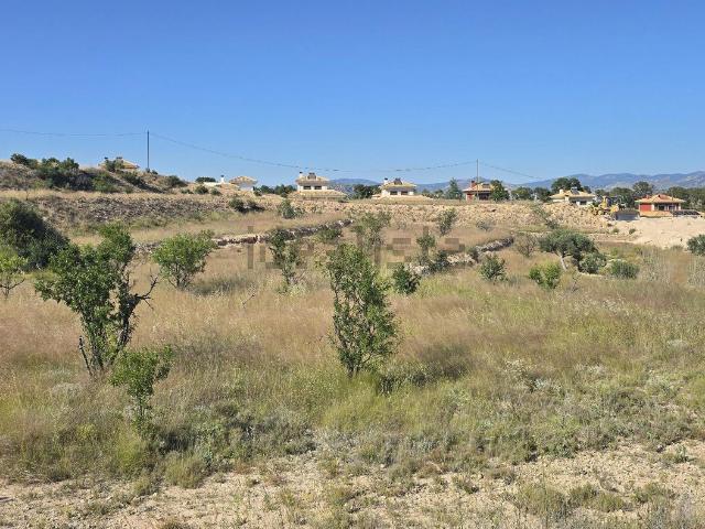 Terreno, Monovar