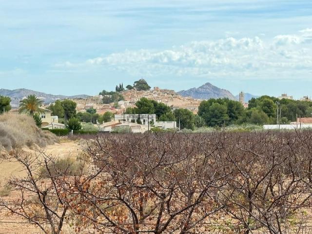 Terreno, Monovar