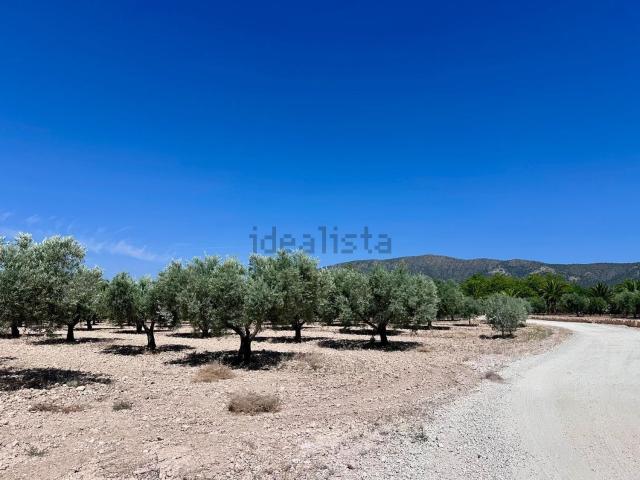 Terreno, Monovar