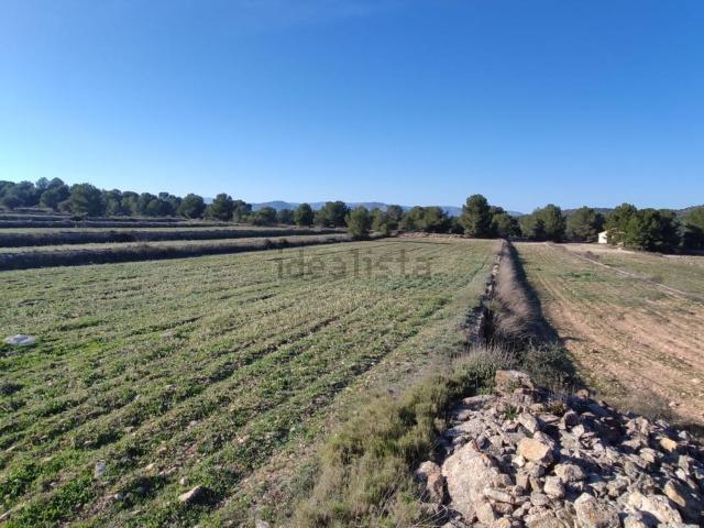 Terreno, Monovar