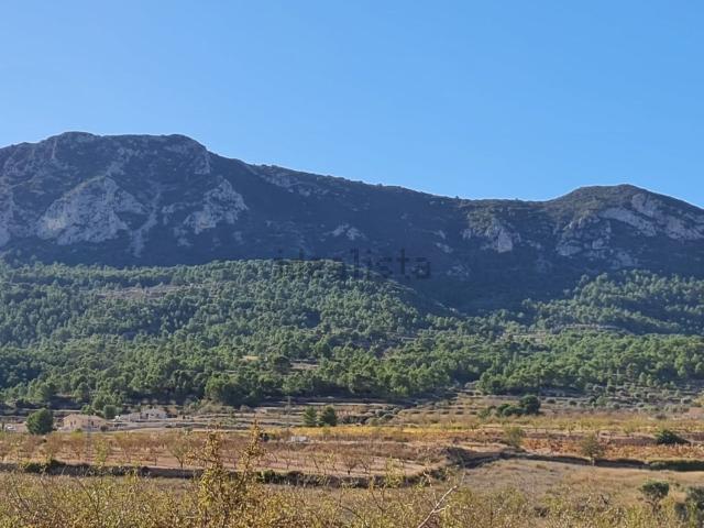 Terreno, Monovar