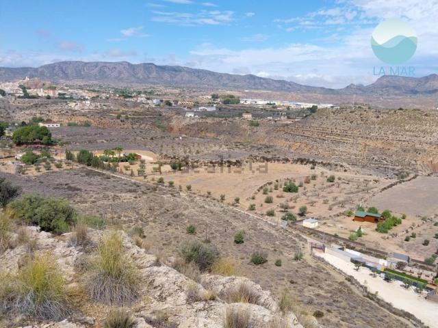Terreno, Monovar