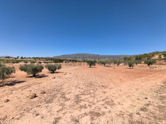 Terreno, Monovar