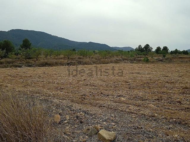 Terreno, Monovar