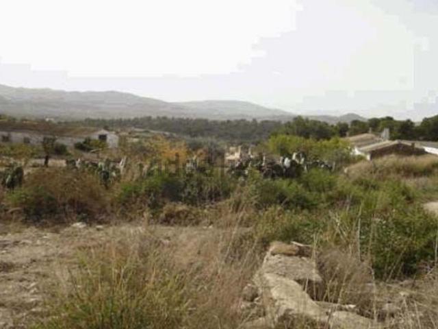 Terreno, Monovar