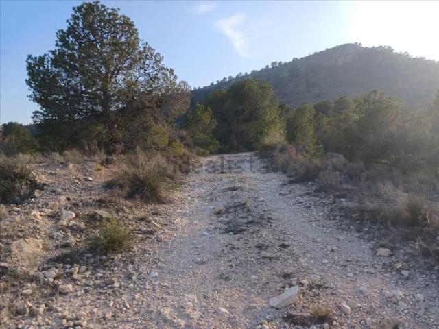 Terreno, Monovar