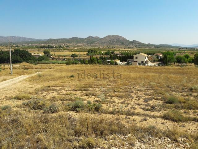 Terreno, Monovar