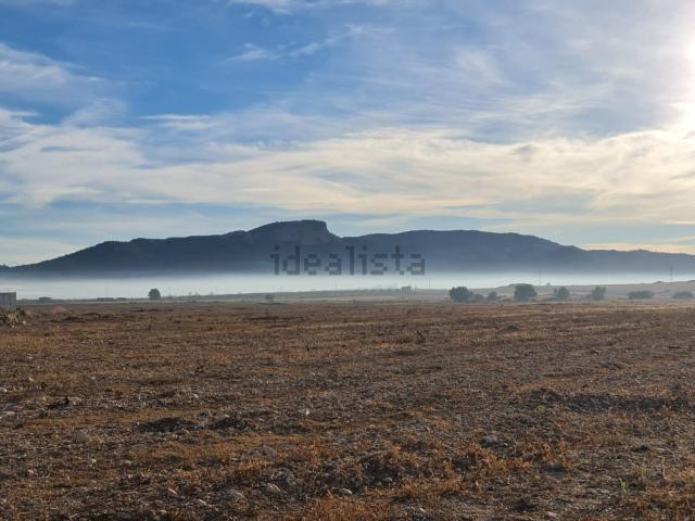Terreno, Monovar