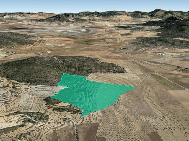 Terreno, Monovar
