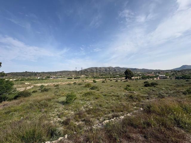 Terreno, Monovar