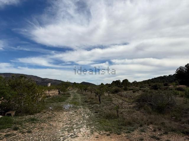Terreno, Monovar