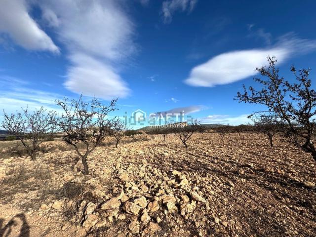 Terreno, Monovar