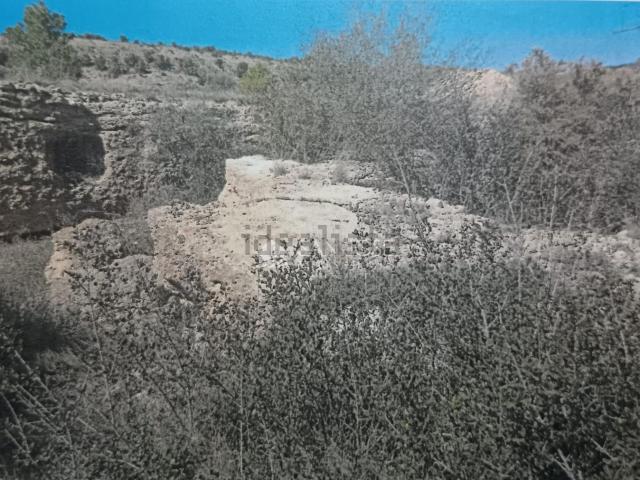Terreno, Monovar