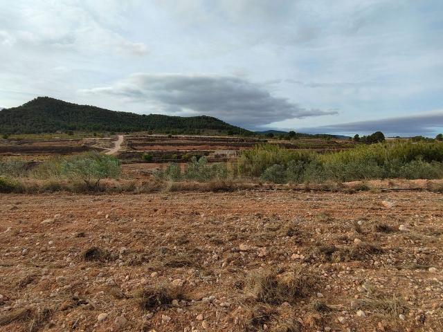Terreno, Monovar