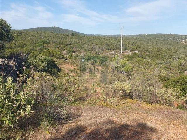 Terreno, Moncarapacho