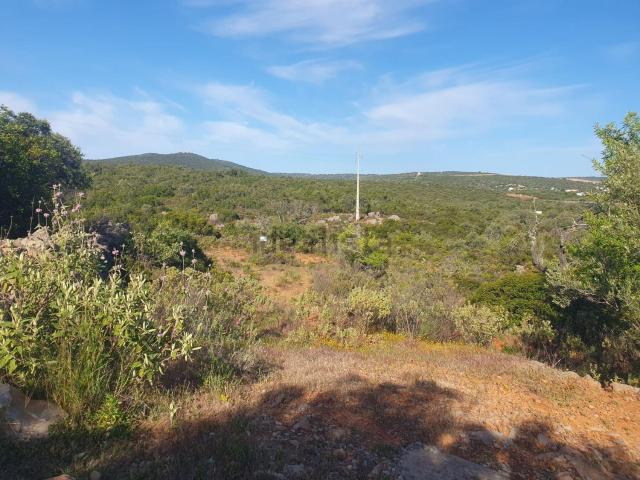 Terreno, Moncarapacho