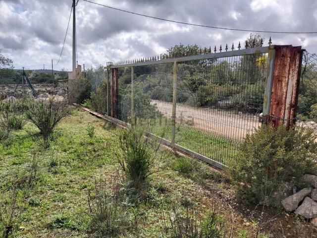 Terreno, Moncarapacho