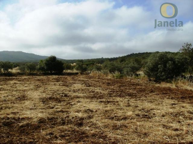 Terreno, Moncarapacho e Fuseta, Olhão | BPI Expresso Imobiliário