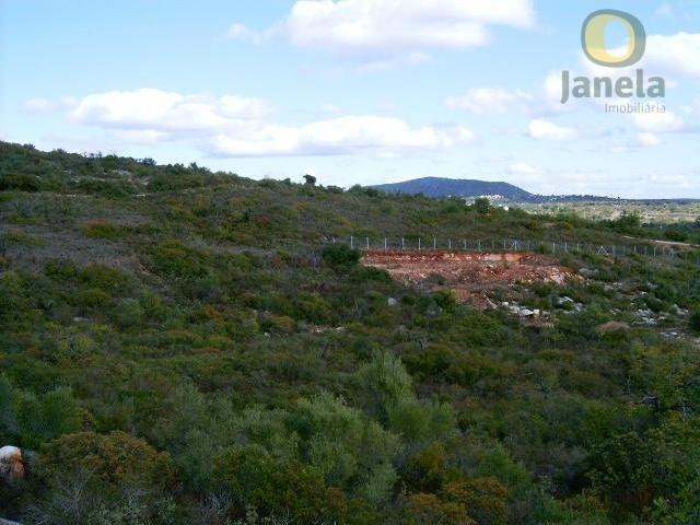 Terreno, Moncarapacho e Fuseta, Olhão | BPI Expresso Imobiliário