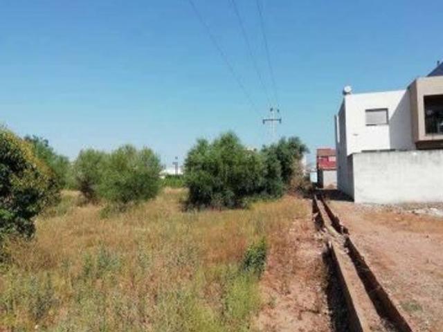 Terreno, Moncofa