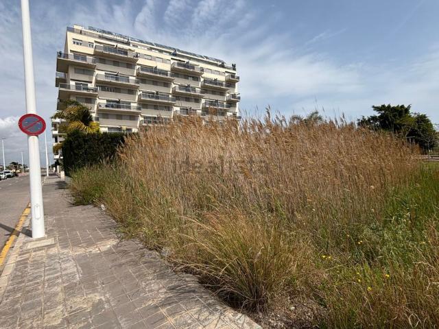 Terreno, Moncofa