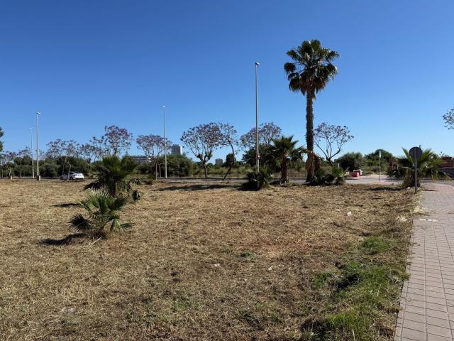 Terreno, Moncofa