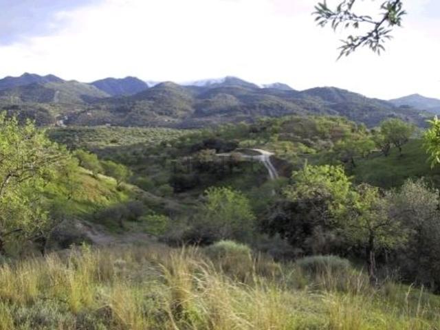 Terreno, Monda