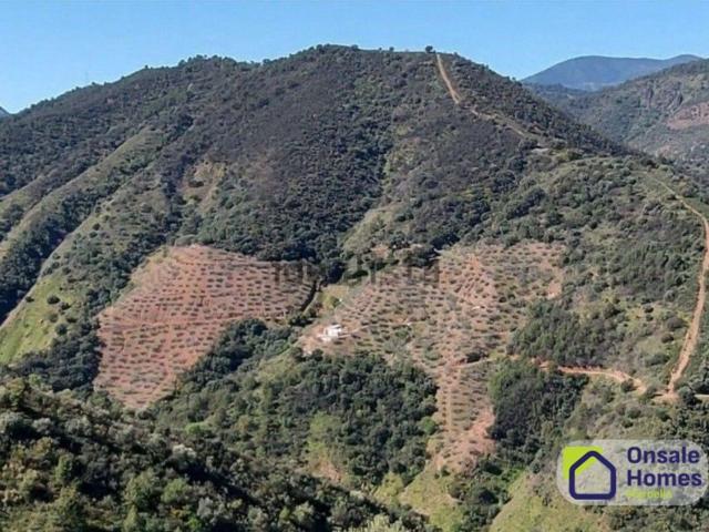 Terreno, Monda