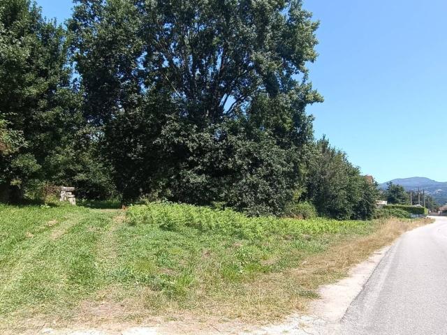 Terreno, Mondariz