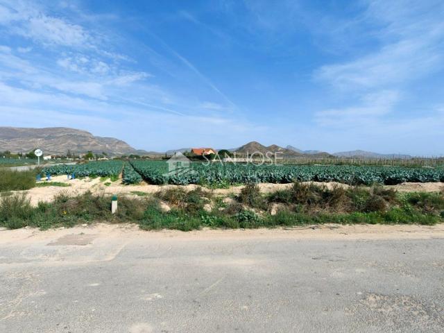 Terreno, Monforte del Cid