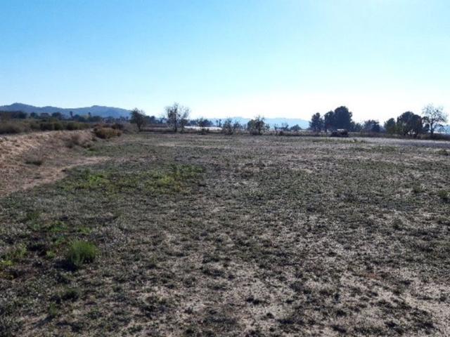 Terreno, Monforte del Cid