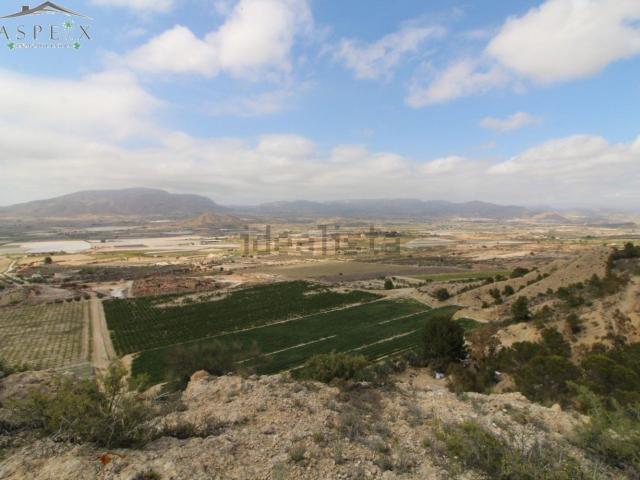 Terreno, Monforte del Cid