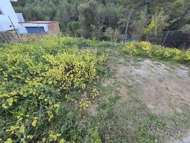 Terreno, Monistrol de Calders