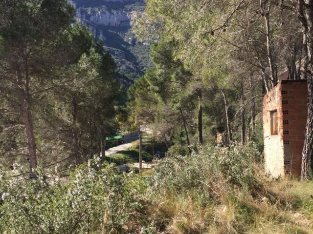 Terreno, Monistrol de Montserrat