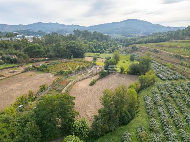 Terreno, Monsul