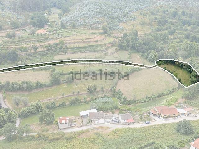 Terreno, Monsul
