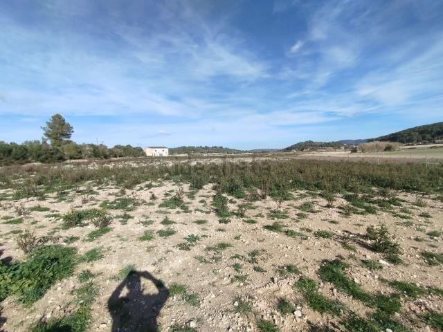 Terreno, Montuiri