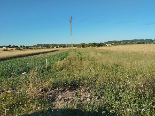 Terreno, Montuiri