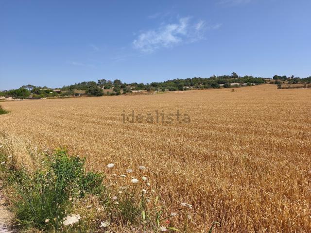 Terreno, Montuiri