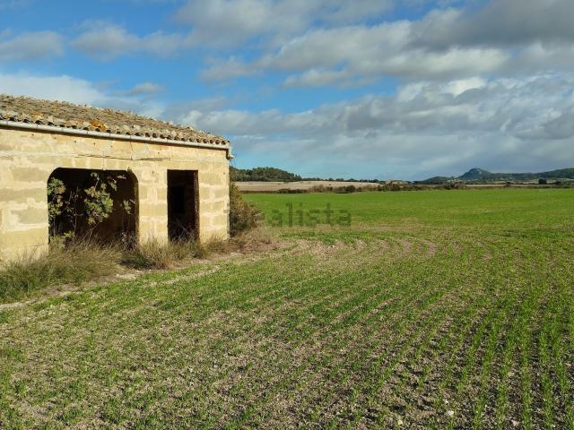 Terreno, Montuiri