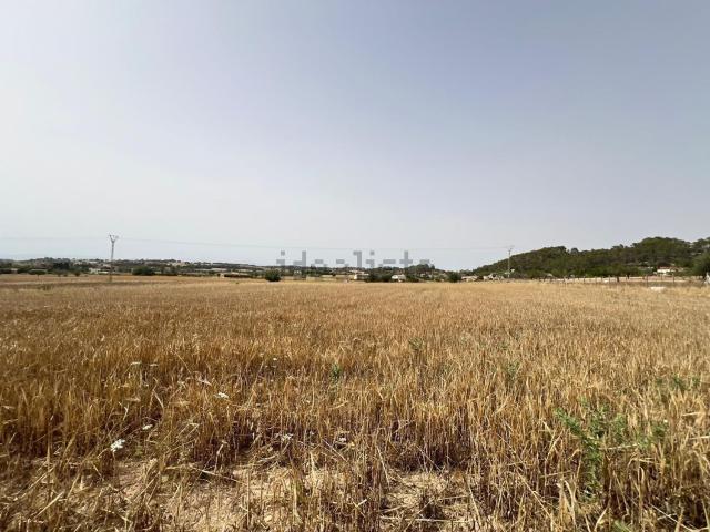 Terreno, Montuiri