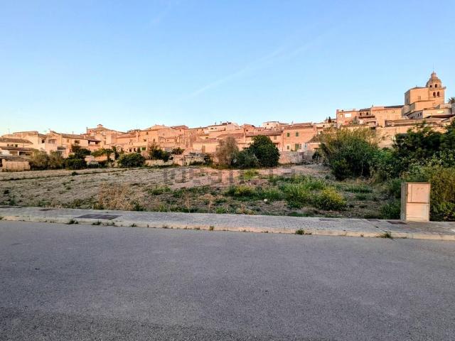 Terreno, Montuiri