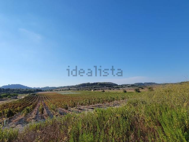 Terreno, Montuiri