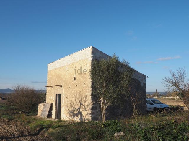 Terreno, Montuiri