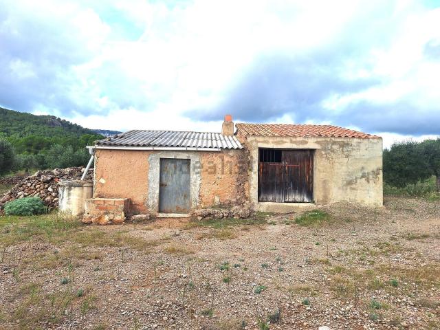 Terreno, Mont Roig del Camp
